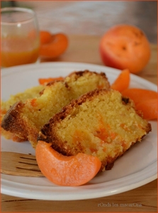 cake abricot b1