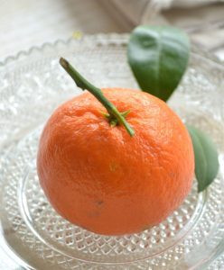 cours patisserie enfants technique insert mandarine et praliné