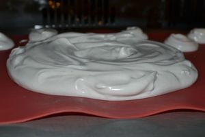 pavlova 2011-11-05 007