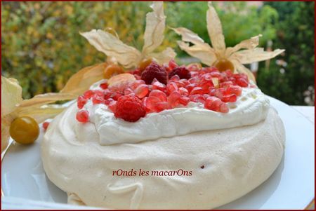 pavlova b1